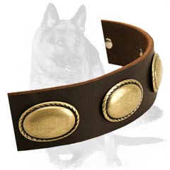 Fantastic Collar with Elegant Decorations