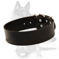 Steel nickel plated buckle and D-ring