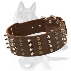 Gorgeous Collar with Studs