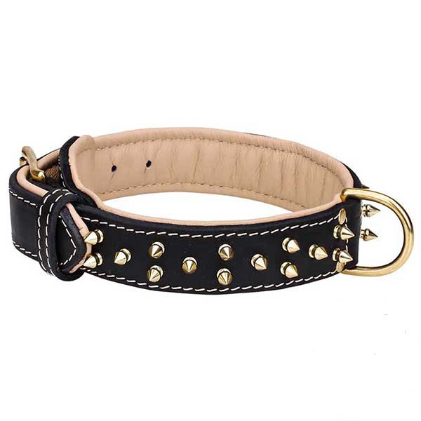 Buckled leather collar