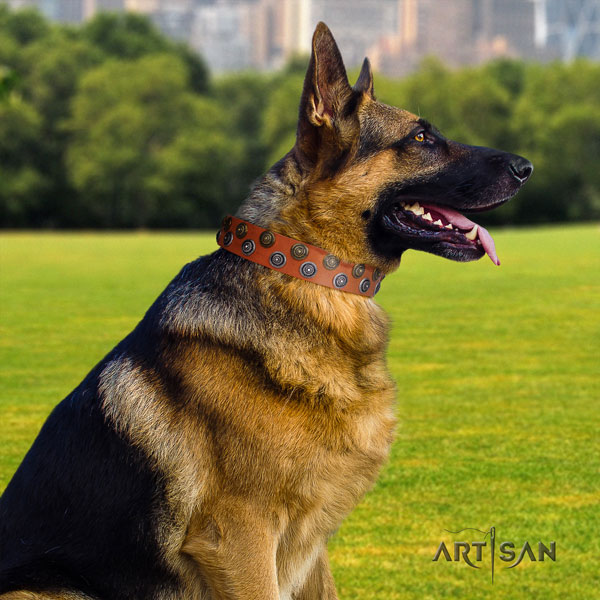 German Shepherd extraordinary full grain natural leather dog collar