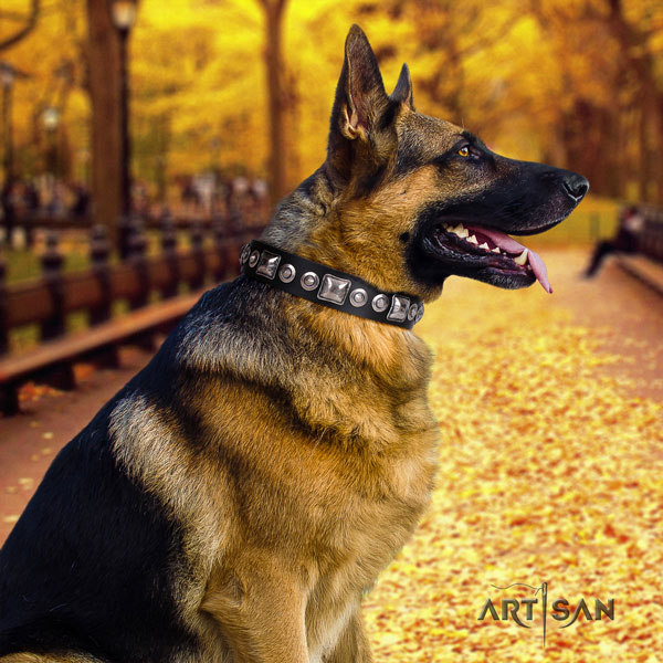 German Shepherd handcrafted leather dog collar
