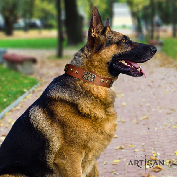 German Shepherd decorated genuine leather dog collar for your impressive dog