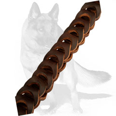 Efficient training leather collar with braid