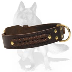 Leather collar with buckle and D-ring
