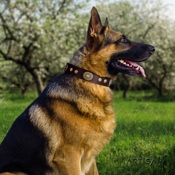 German Shepherd embellished full grain genuine leather dog collar for your lovely four-legged friend