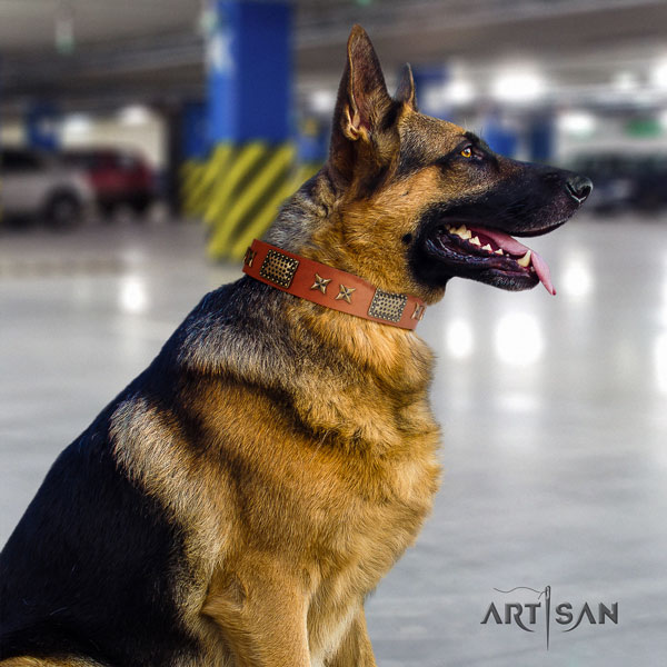 German Shepherd easy wearing leather dog collar