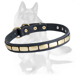 Leather  collar with brass decorations