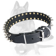 Durable leather collar with D-ring