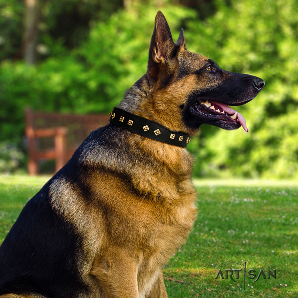 German Shepherd decorated genuine leather dog collar for your attractive four-legged friend
