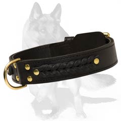 dog collar