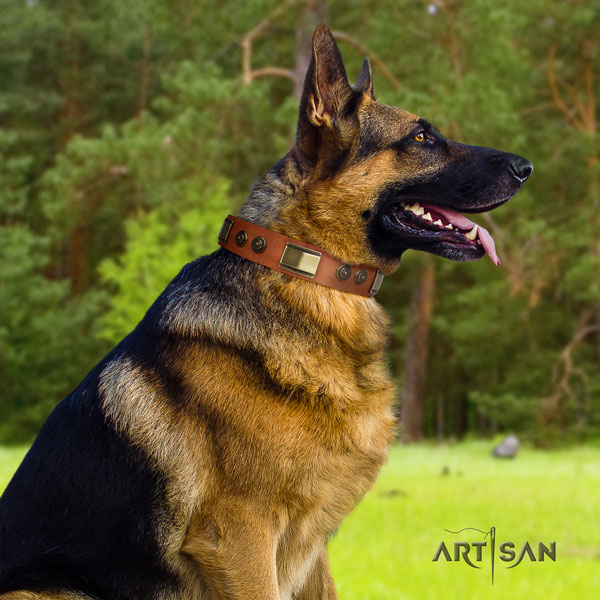 German Shepherd decorated full grain leather dog collar for your handsome canine