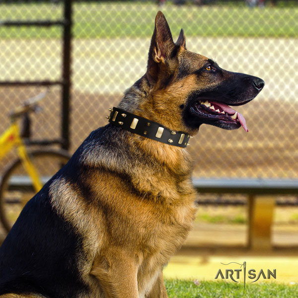 German Shepherd trendy leather dog collar