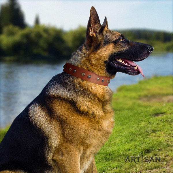 German Shepherd stylish full grain natural leather dog collar