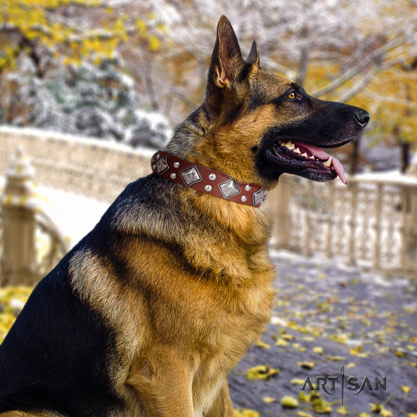 German Shepherd trendy full grain genuine leather dog collar