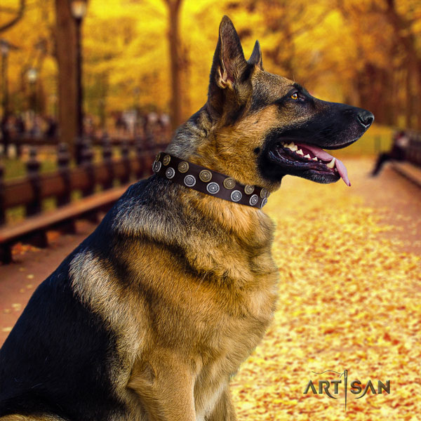 German Shepherd exceptional leather dog collar