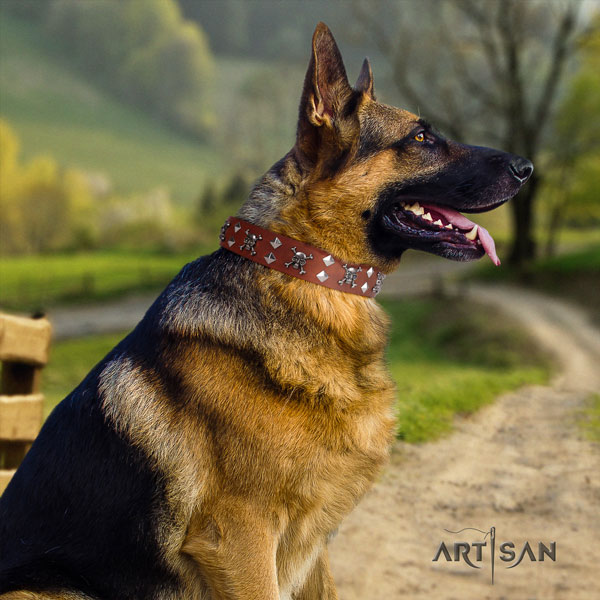 German Shepherd stylish full grain genuine leather dog collar