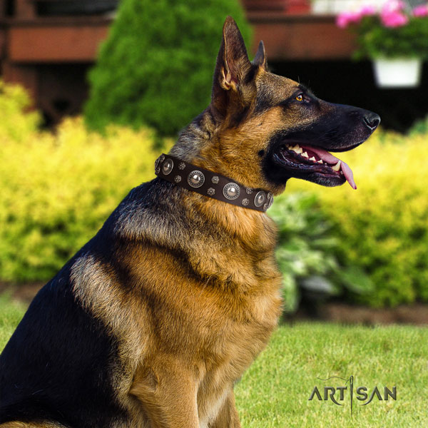 German Shepherd easy to adjust leather dog collar