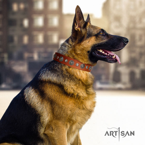 German Shepherd decorated full grain leather dog collar for your stylish doggie