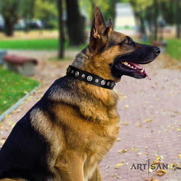 German Shepherd embellished leather dog collar for your beautiful canine
