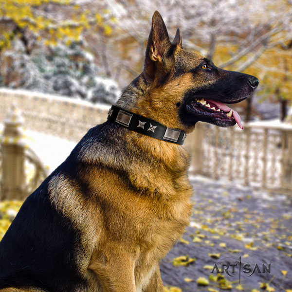 German Shepherd adorned full grain leather dog collar for your impressive canine