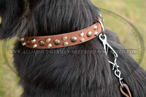 German Shepherd leather adjustable collar