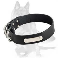 Special leather collar for easy identification