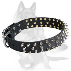 Non-rusting leather collar with nickel spikes 