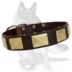 Leather  collar with  nickel decorations