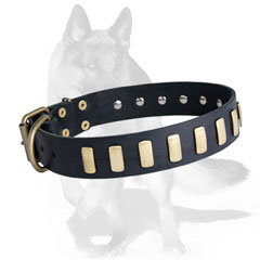 Non-rusting leather collar