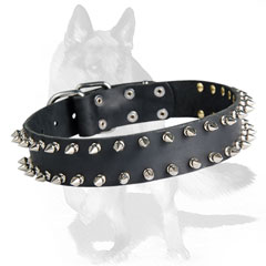 Leather collar with hand set spikes