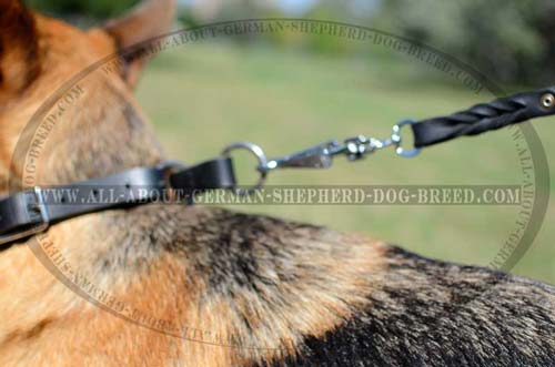 Non-rusting leather collar for German Shepherd