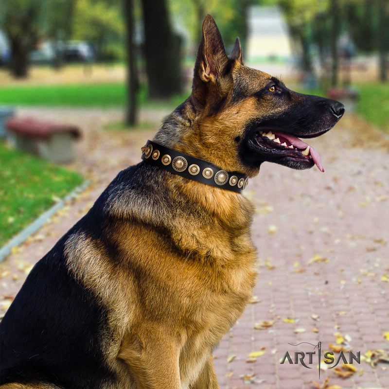 chain for german shepherd