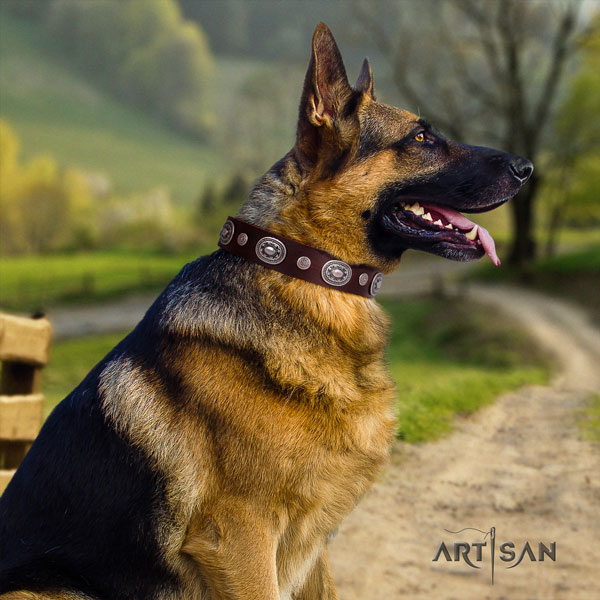 German Shepherd handcrafted genuine leather dog collar