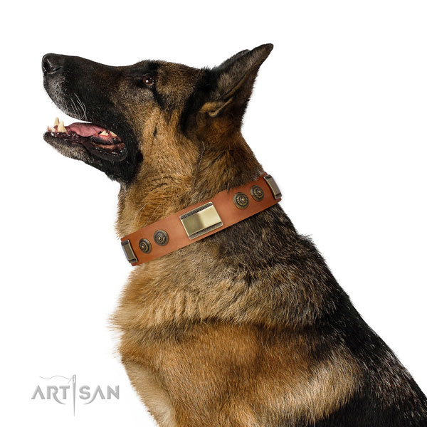German Shepherd easy wearing natural genuine leather dog collar for basic training title=German Shepherd natural genuine leather collar with decorations for comfortable wearing