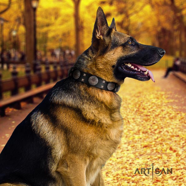 German Shepherd comfortable genuine leather dog collar with stylish design decorations