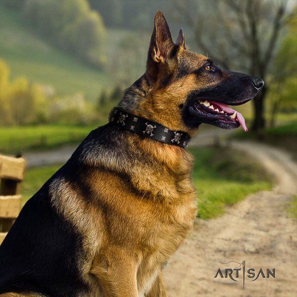 German Shepherd handcrafted natural genuine leather dog collar with impressive adornments