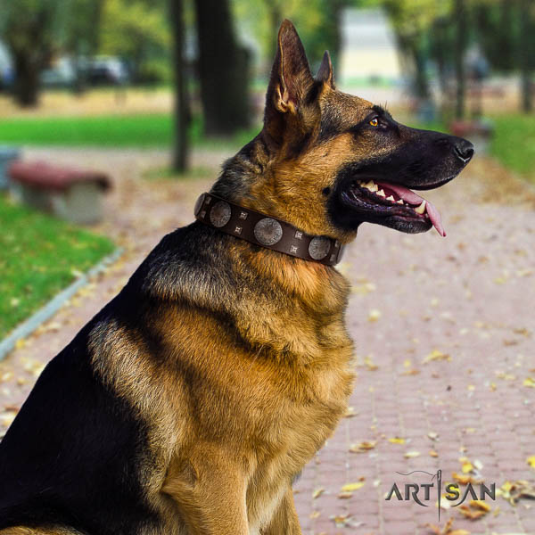 German Shepherd handcrafted full grain natural leather dog collar with stunning adornments