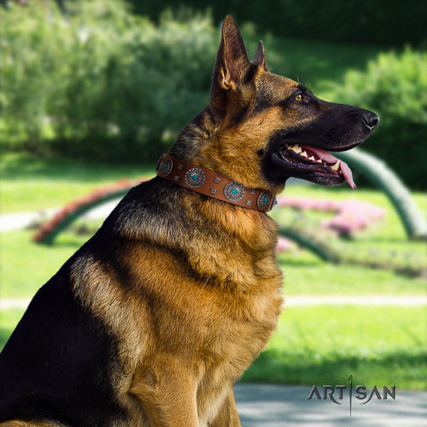 German Shepherd easy adjustable full grain leather dog collar with inimitable adornments