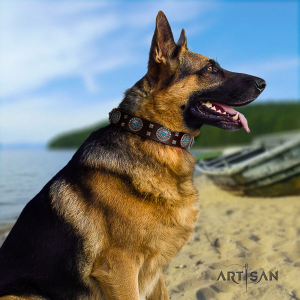 German Shepherd easy wearing leather dog collar with top notch studs