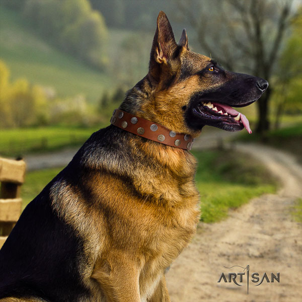 German Shepherd easy adjustable full grain natural leather dog collar with impressive adornments