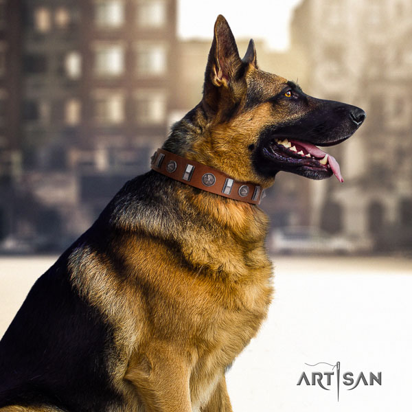 German Shepherd top quality full grain natural leather dog collar with impressive studs