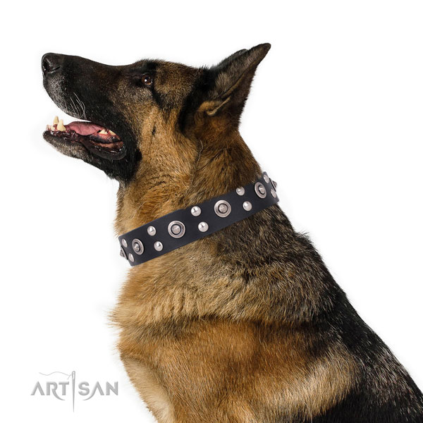German Shepherd remarkable genuine leather dog collar for everyday use title=German Shepherd full grain natural leather collar with decorations for fancy walking