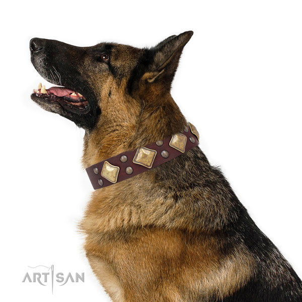 German Shepherd incredible leather dog collar for walking title=German Shepherd full grain natural leather collar with studs for easy wearing