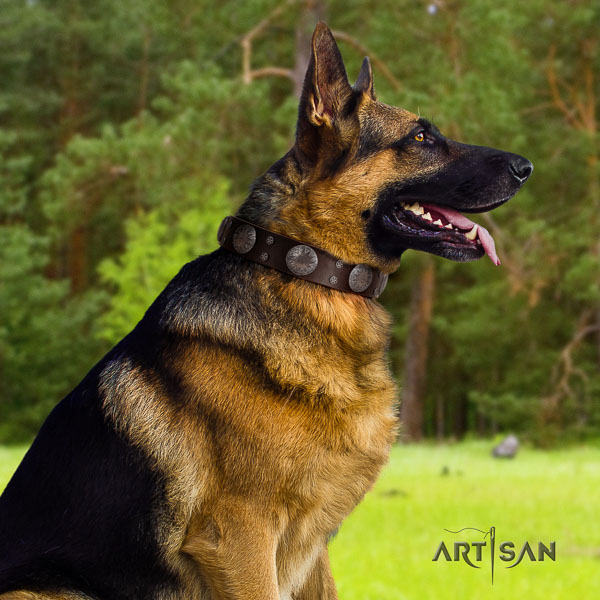 German Shepherd best quality natural genuine leather dog collar with impressive adornments