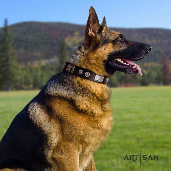 German Shepherd adorned full grain natural leather dog collar for your stylish doggie