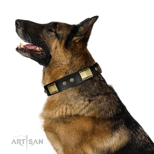 German Shepherd top quality natural genuine leather dog collar for daily use title=German Shepherd leather collar with studs for everyday walking