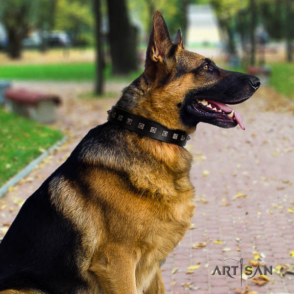 German Shepherd handcrafted natural genuine leather dog collar with designer adornments