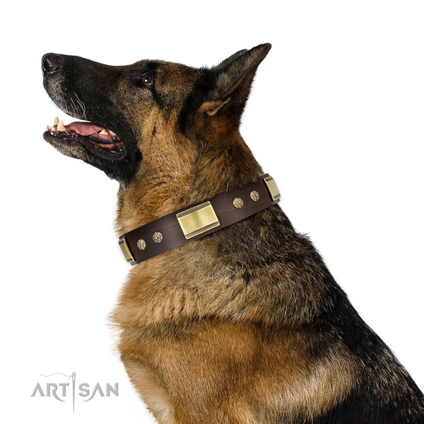 German Shepherd convenient leather dog collar for everyday use title=German Shepherd full grain genuine leather collar with studs for daily use