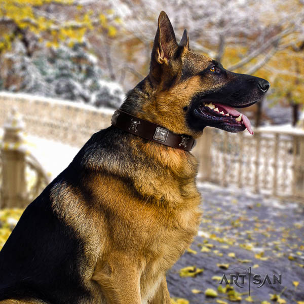 German Shepherd perfect fit full grain natural leather dog collar with designer embellishments